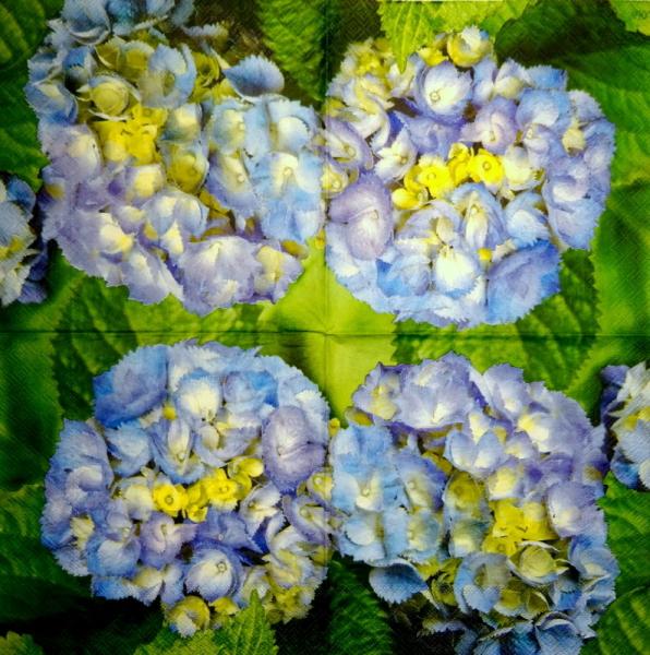 064 Hydrangeas - 3-ply - Ihr
